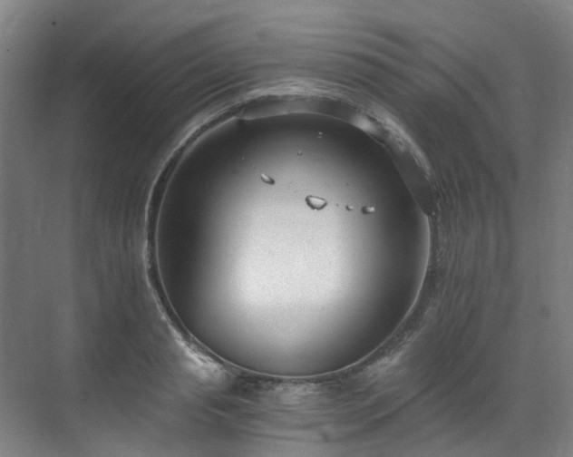 X0000071350845200606261340