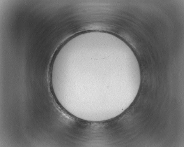 X0000071350848200606261340