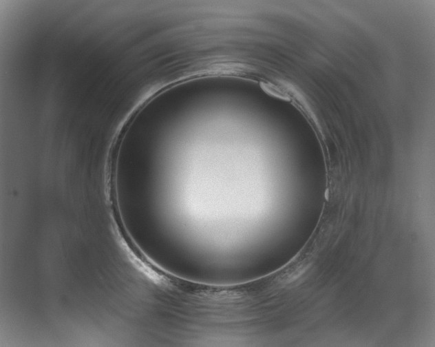 X0000071350851200606261340