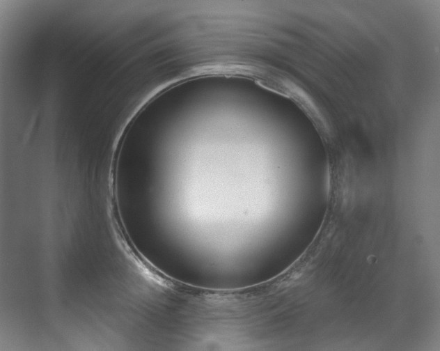 X0000071350852200606261340