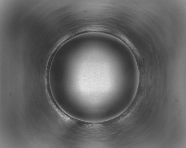 X0000071350853200606261340