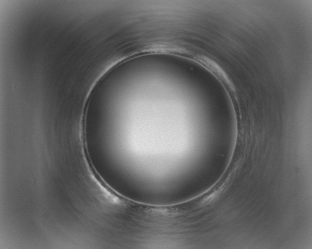 X0000071350855200606261340