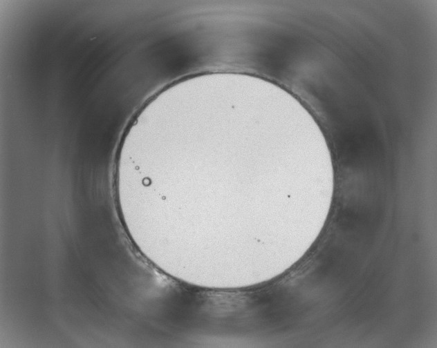 X0000071350856200606261340