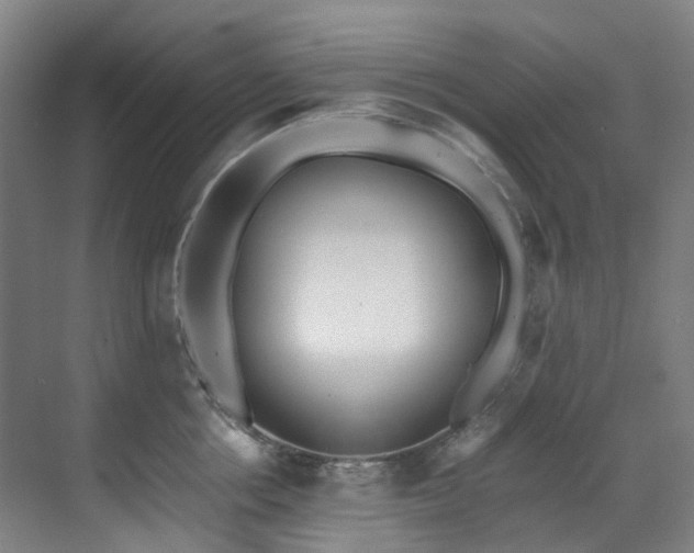 X0000071350858200606261340