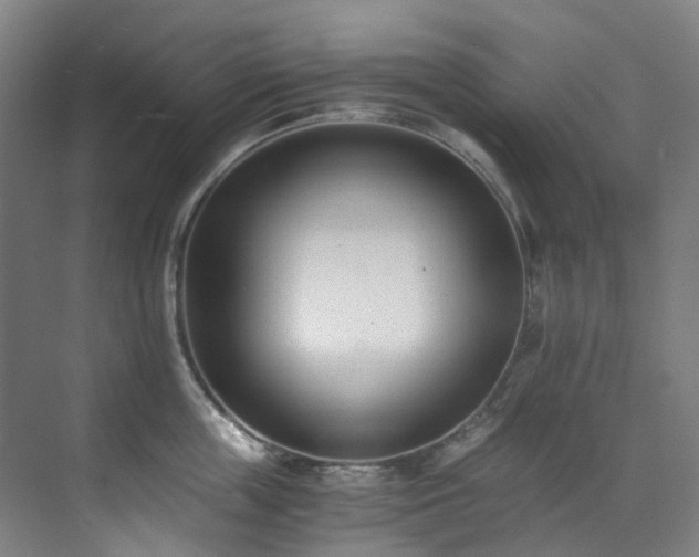 X0000071350859200606261340