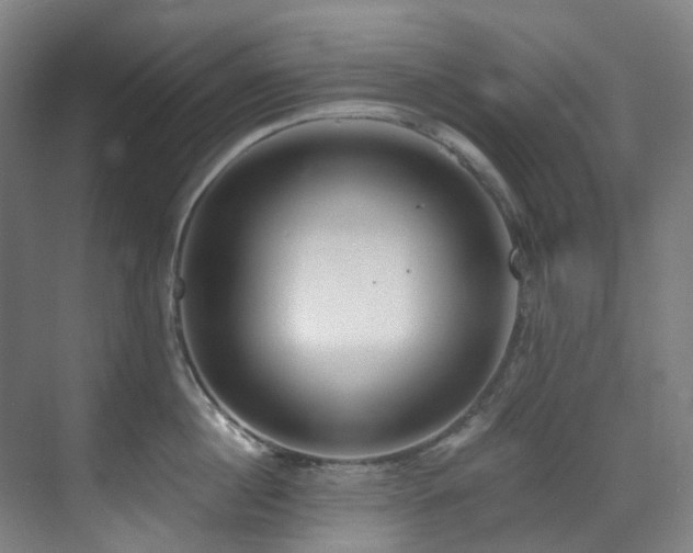 X0000071350860200606261340