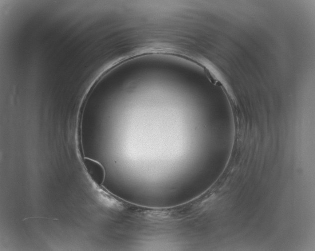 X0000071350861200606261340