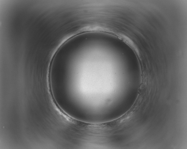 X0000071350863200606261340