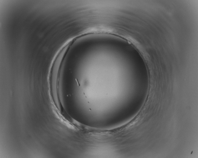 X0000071350864200606261340