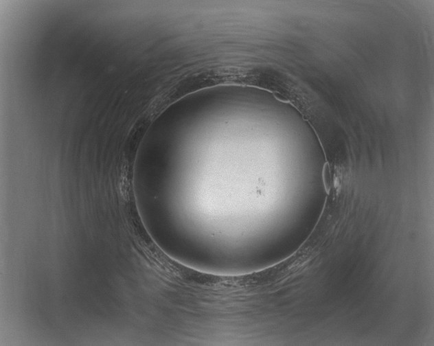 X0000071350867200606261339