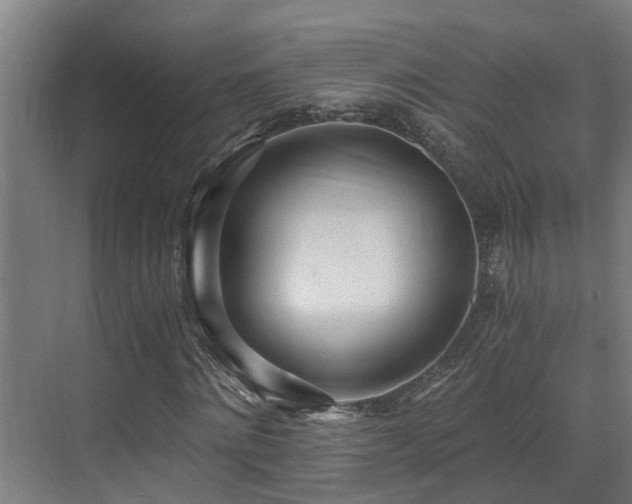 X0000071350868200606261339