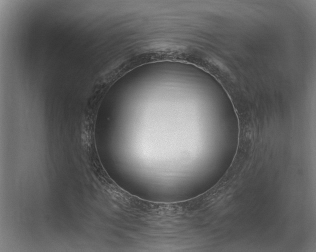 X0000071350869200606261339