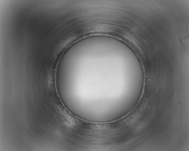 X0000071350874200606261339