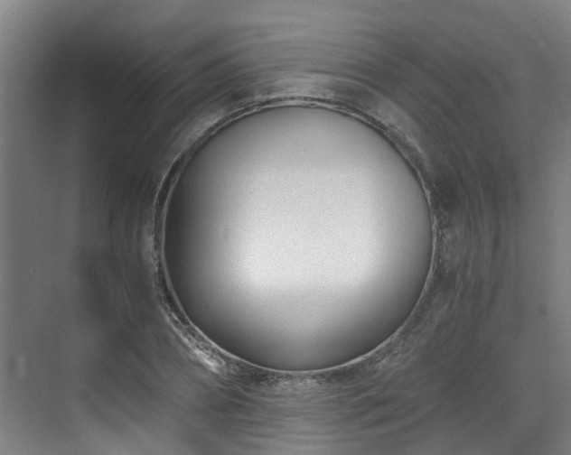 X0000071350882200606261339