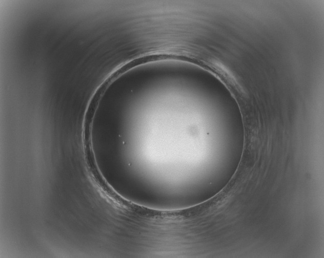 X0000071350884200606261339