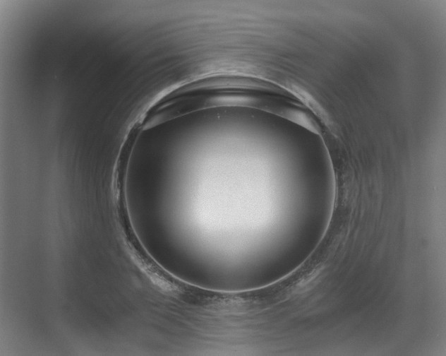 X0000071350885200606261339