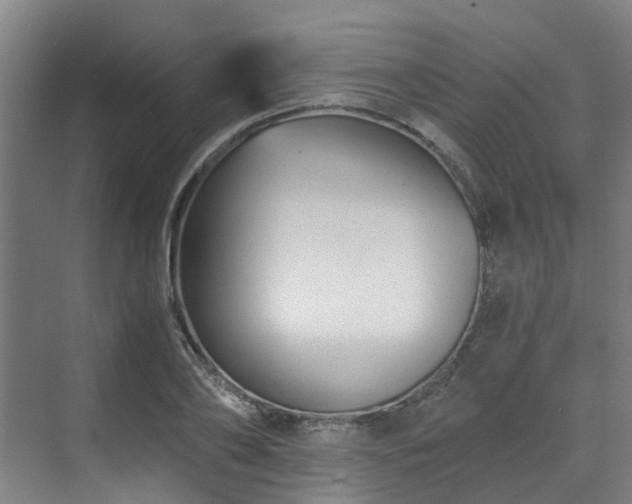 X0000071350886200606261339