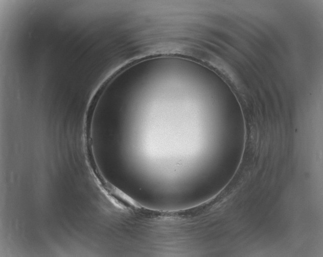 X0000071350894200606261339