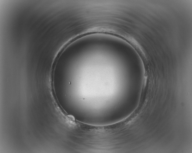 X0000071350896200606261339