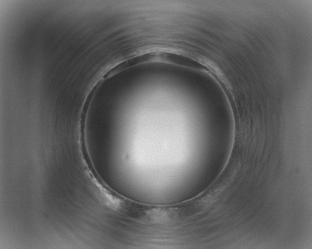 X0000071350898200606261339