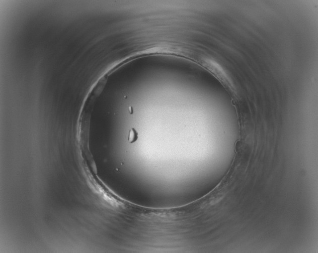 X0000071350900200606261338