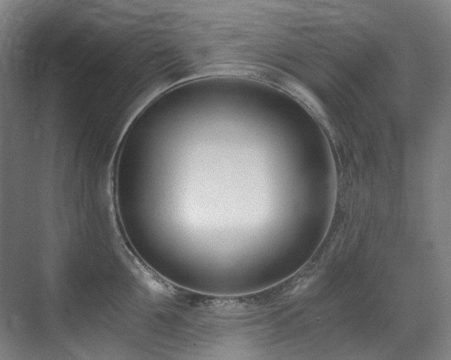 X0000071350907200606261338