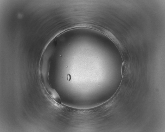 X0000071350908200606261338