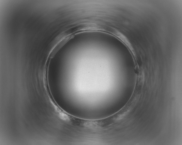 X0000071350909200606261338