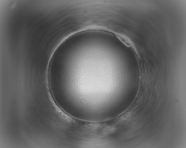 X0000071350911200606261338