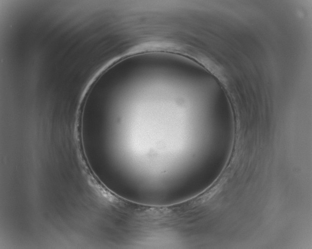 X0000071350912200606261338