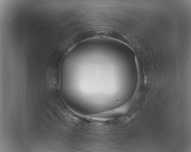 X0000071350916200606261338