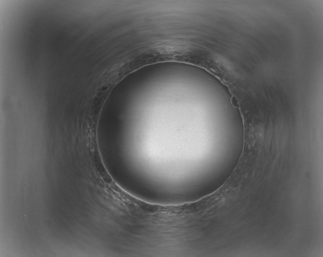 X0000071350917200606261338