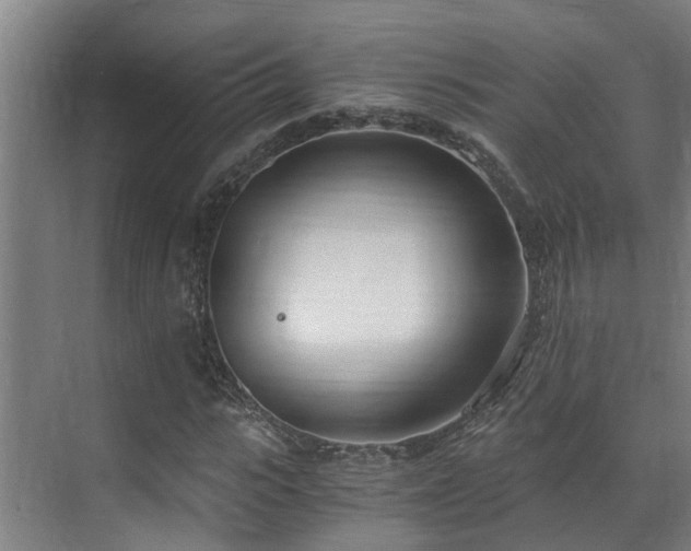 X0000071350919200606261338