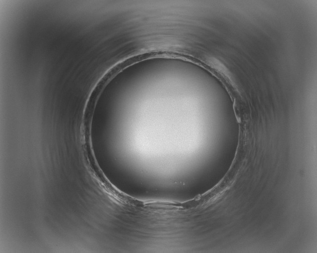 X0000071350924200606261338