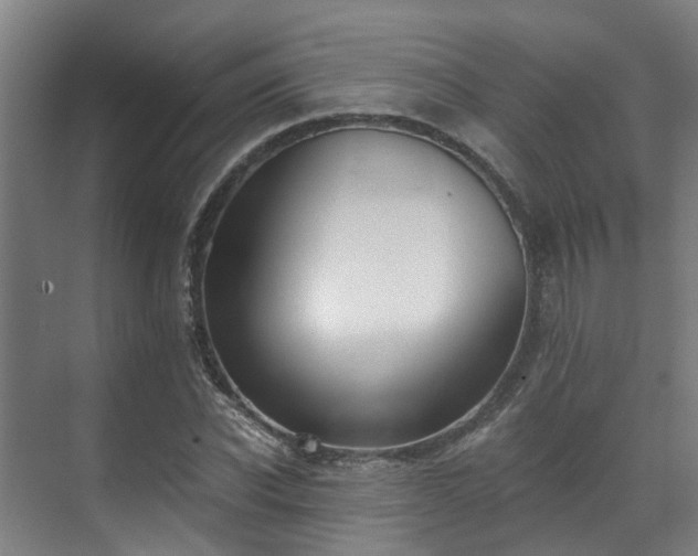 X0000071350926200606261338