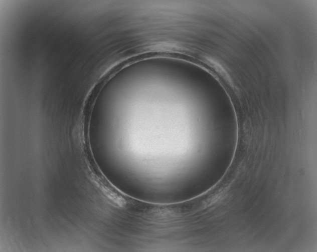 X0000071350931200606261338