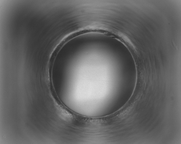 X0000071350934200606261338