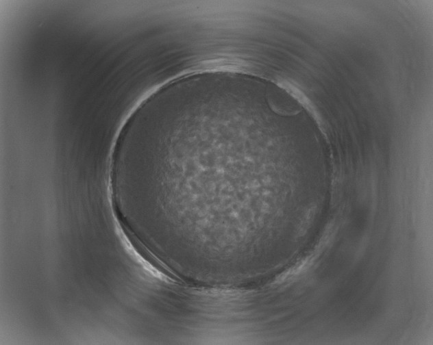 X0000071350941200606261338