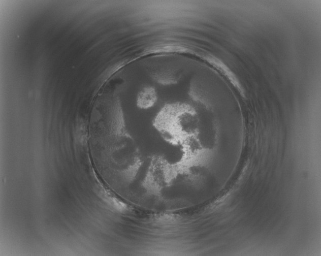 X0000071350945200606261338