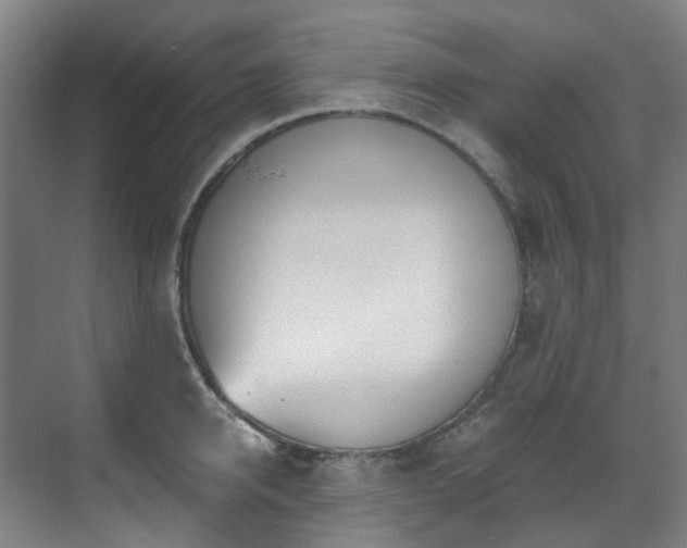 X0000071350950200606261338