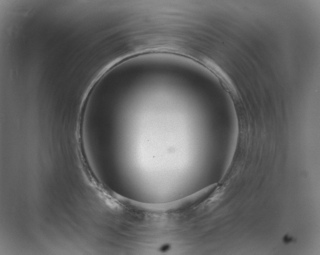 X0000071350956200606261338