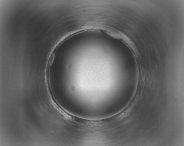 X0000071350958200606261338