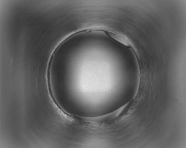 X0000071350959200606261338