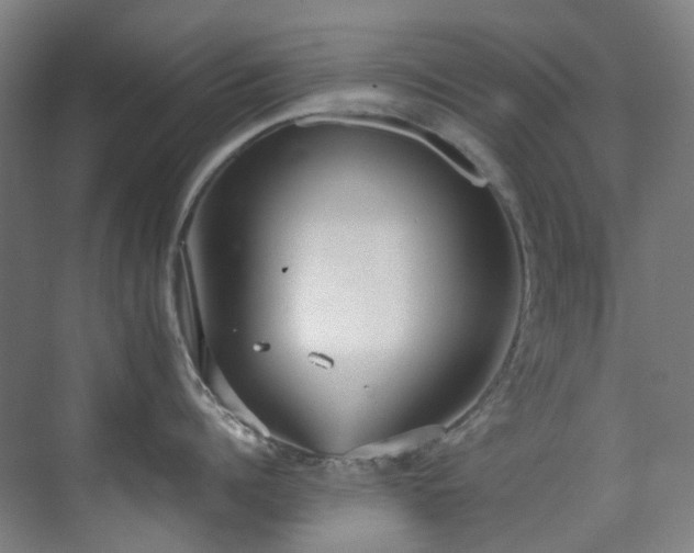 X0000071350960200606261338