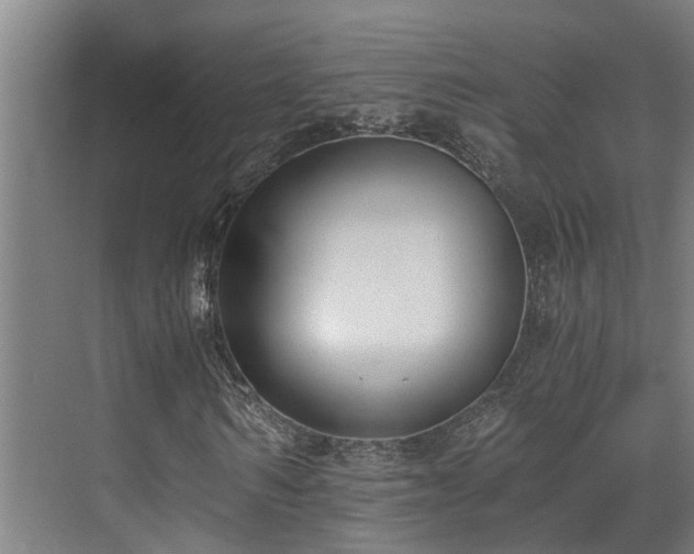 X0000071350962200606261337