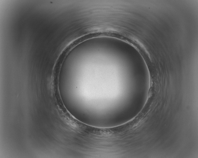 X0000071350975200606261337