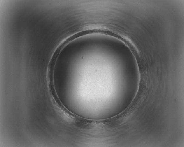 X0000071350983200606261337