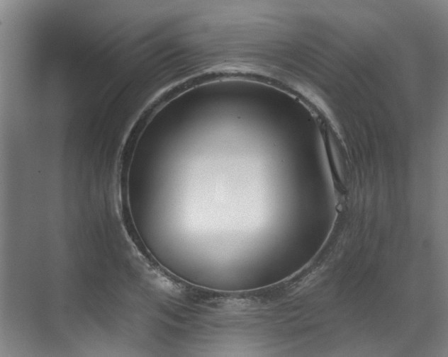 X0000071350984200606261337