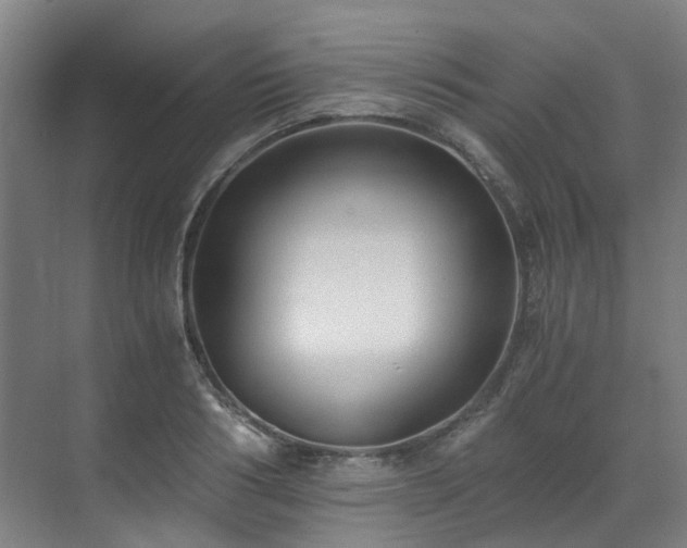 X0000071350986200606261337