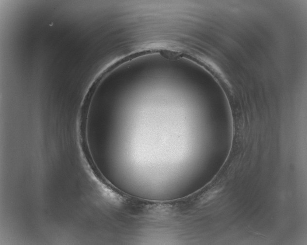 X0000071350991200606261337